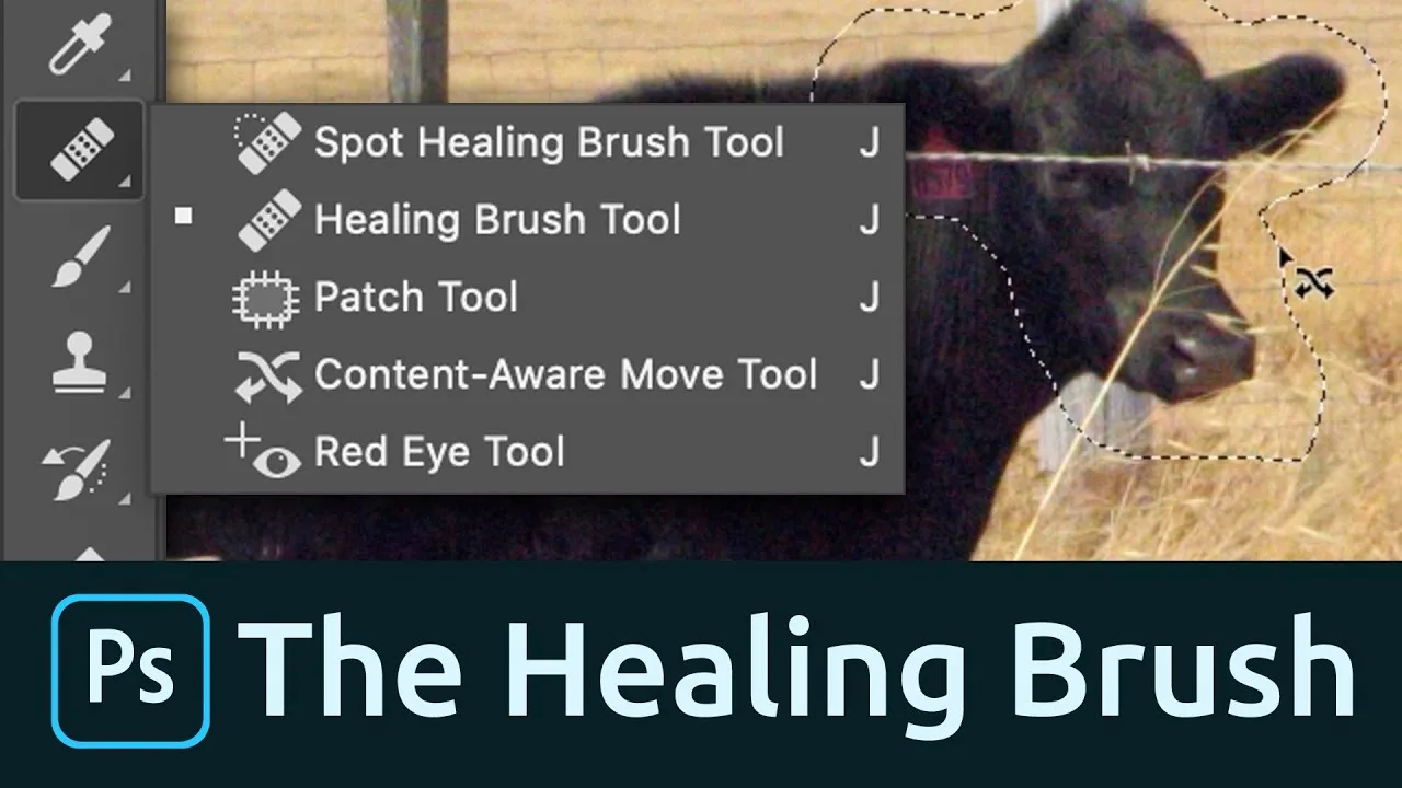 Khiến bức ảnh của bạn trở nên sinh động qua công cụ Healing Brush Tool trong Photoshop 2