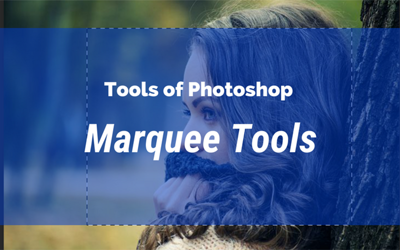 Vì sao Marqueee Tool trong Photoshop là công cụ quan trọng 2